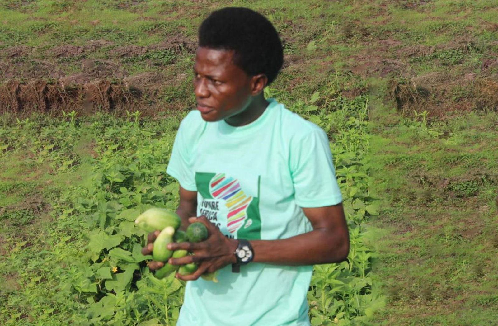 CROP CULTIVATION BY ALIEU SASAY A FALA 2023 WINNER