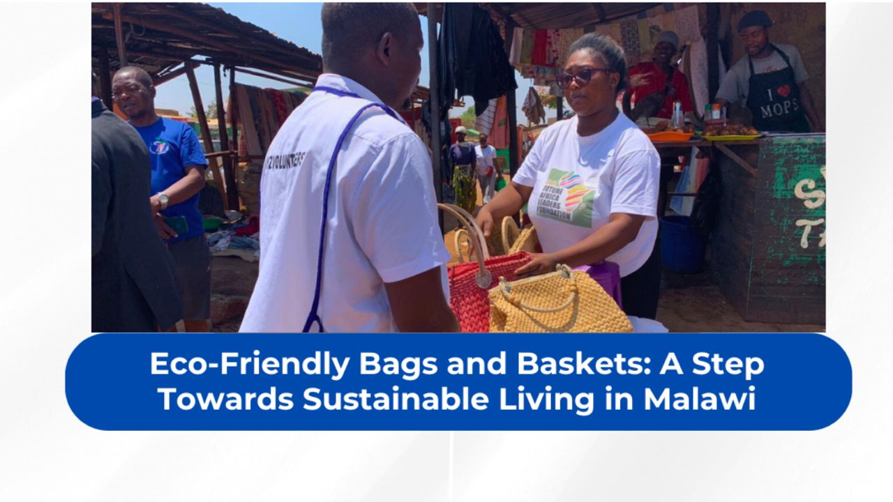 Eco Friendly Bags and Baskets A Step Towards Sustainable Living in Malawi